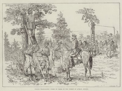 Telegraphische draden bevestigen aan bomen in het bos van Lublin, Rusland door Johann Nepomuk Schonberg